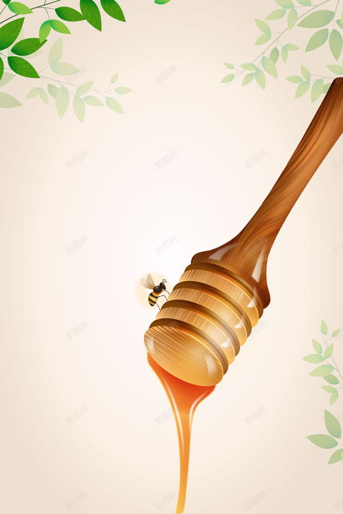 蜂蜜營養食品 滋補與創意設計的完美融合