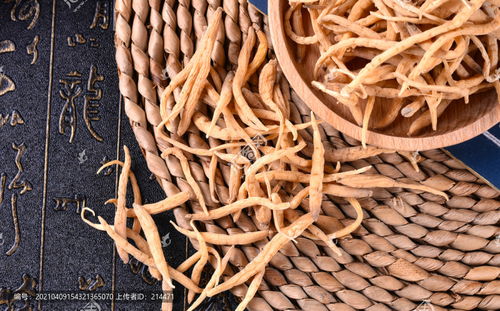 太子參高清圖片素材 食品餐飲與飲食制作的創新應用